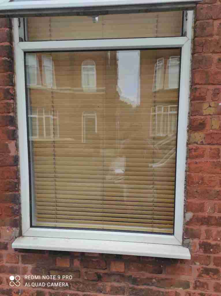 Repaired Window
